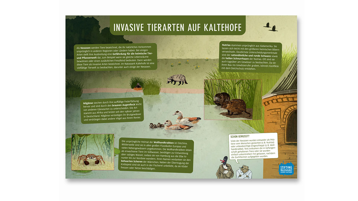 Informative Illustration Naturerlebnispfad Kaltehofe